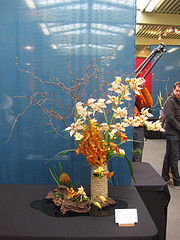 Ikebana flower arrangement